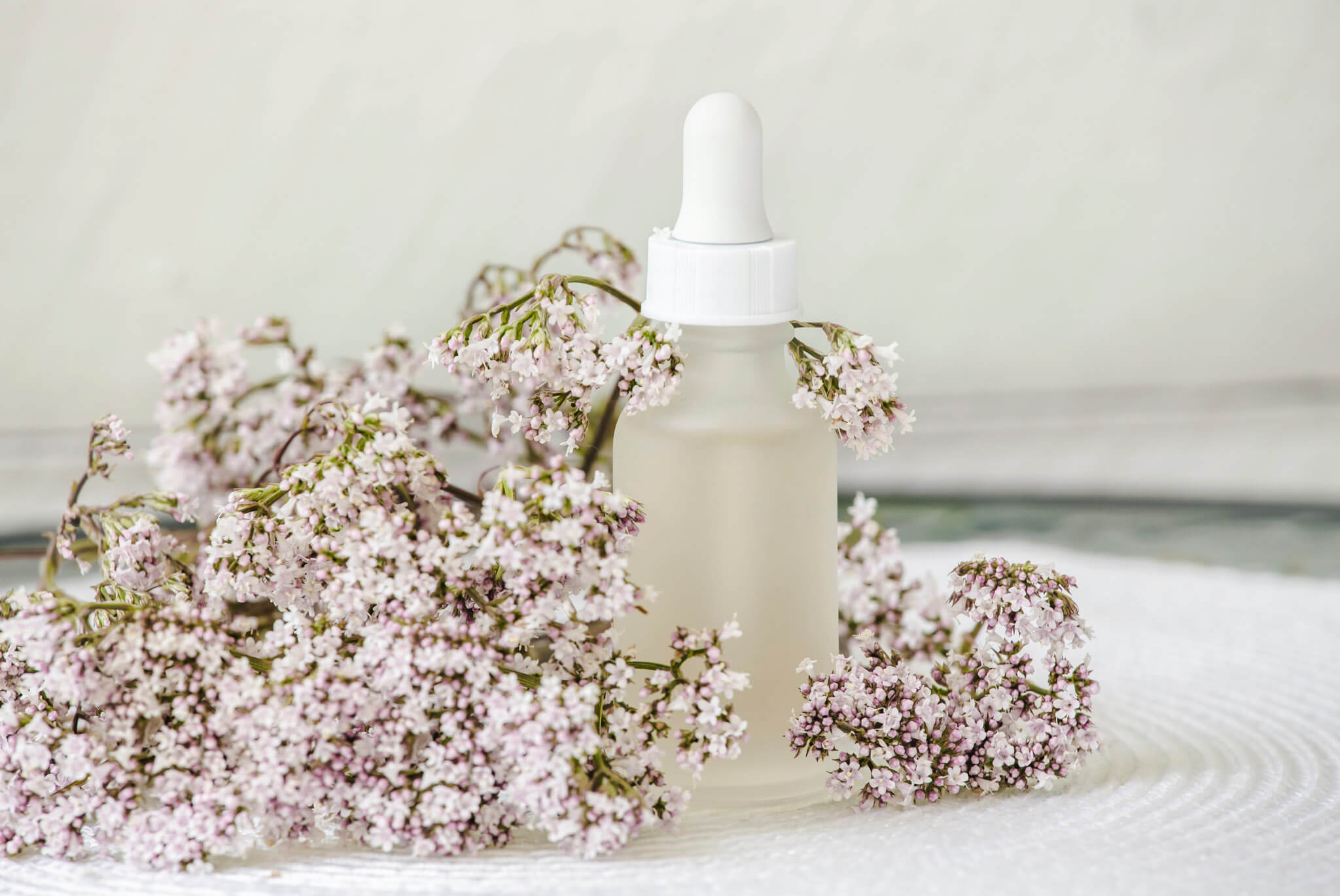 valeriana-lekarska-s-cim-vsetkym-pomoze-2